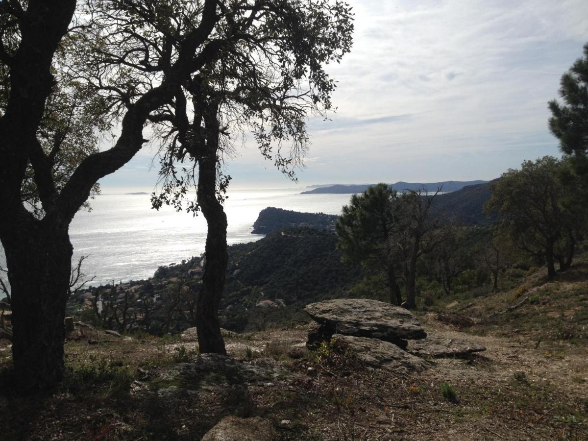 Chemin De La Roseraie Cavalaire-sur-Mer Exterior foto